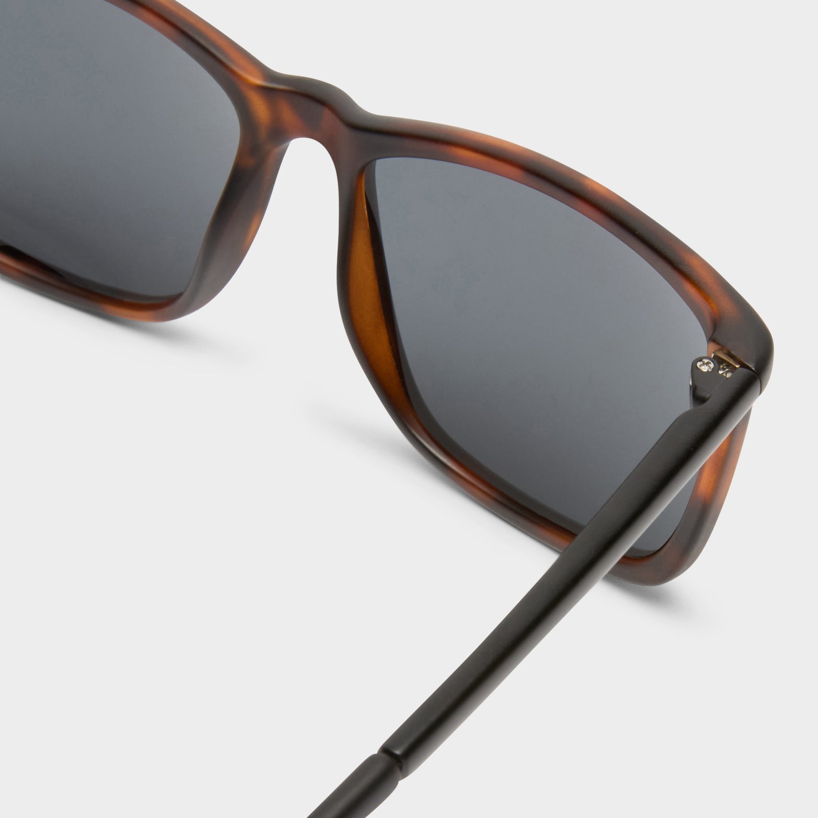 Tweedledum Matte Tort Matte Black Male D-Frame Sunglasses | Le Specs
