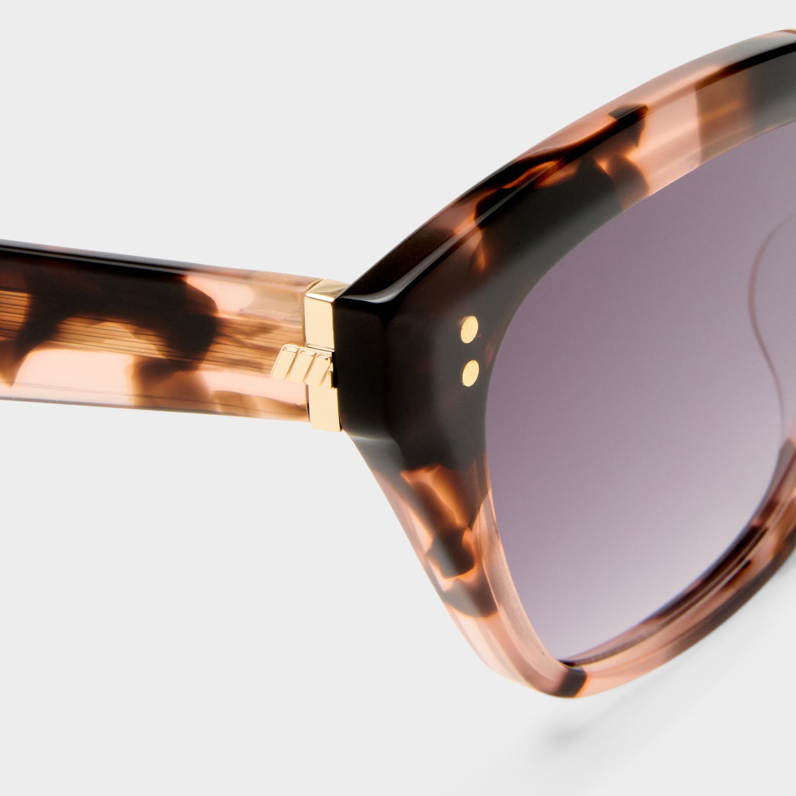 Horizon Rose Tort Female D-Frame Sunglasses | Le Specs