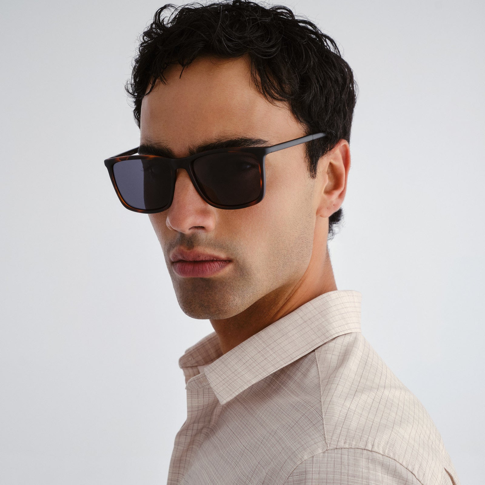 Tweedledum Matte Tort Matte Black Male D-Frame Sunglasses | Le Specs