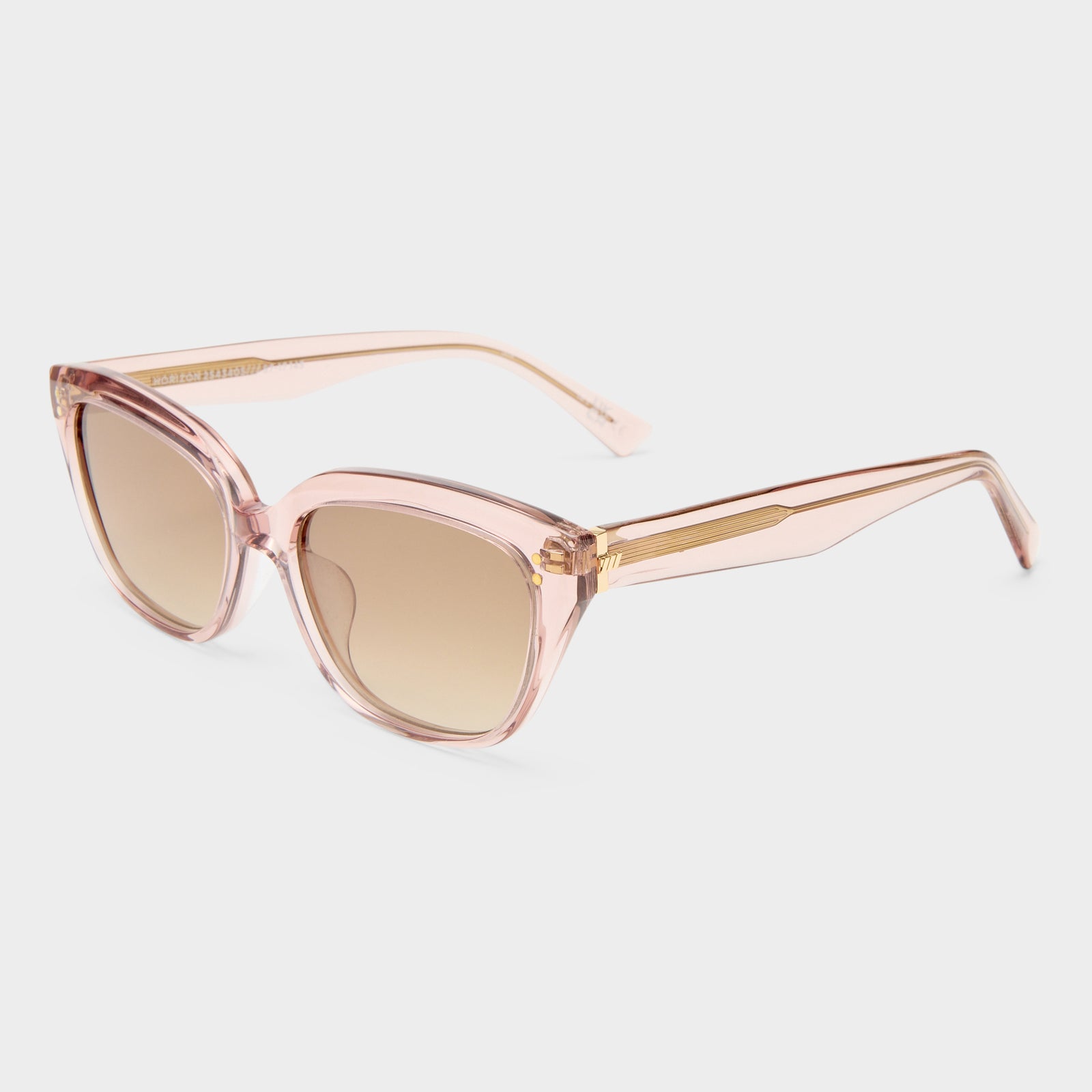 Horizon Rosewater Female D-Frame Sunglasses | Le Specs